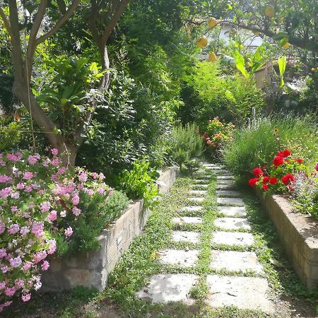 Il Vialetto Dei Limoni Bed & Breakfast Vico Equense Eksteriør bilde
