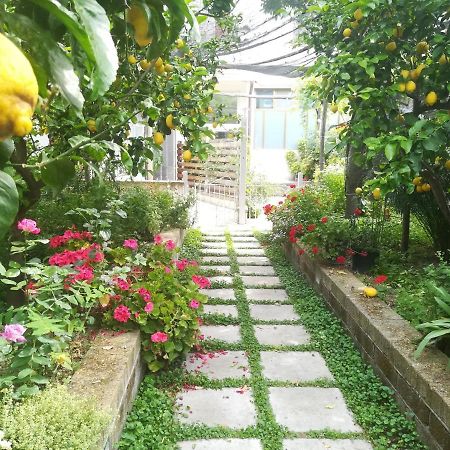 Il Vialetto Dei Limoni Bed & Breakfast Vico Equense Eksteriør bilde