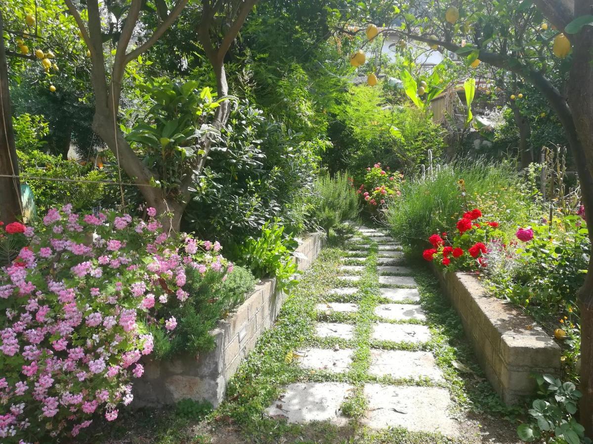Il Vialetto Dei Limoni Bed & Breakfast Vico Equense Eksteriør bilde