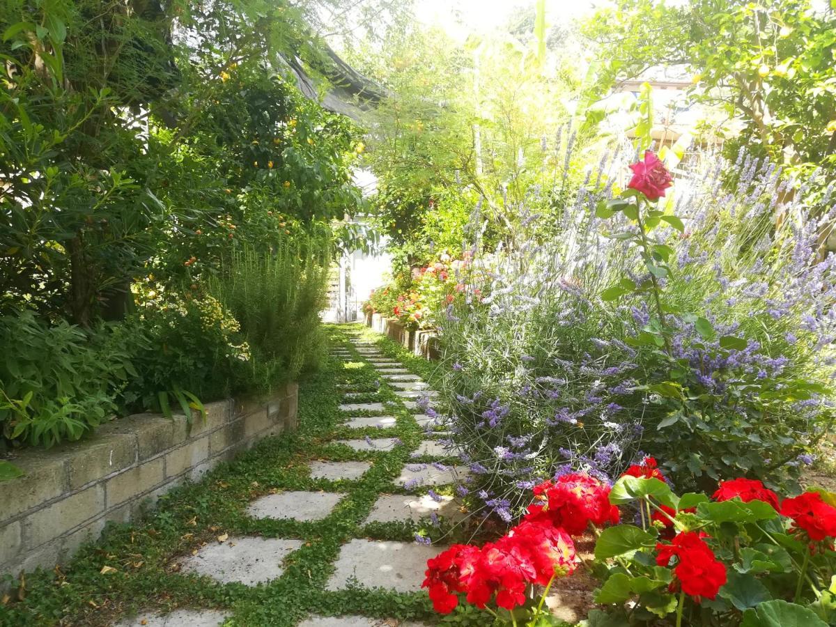 Il Vialetto Dei Limoni Bed & Breakfast Vico Equense Eksteriør bilde