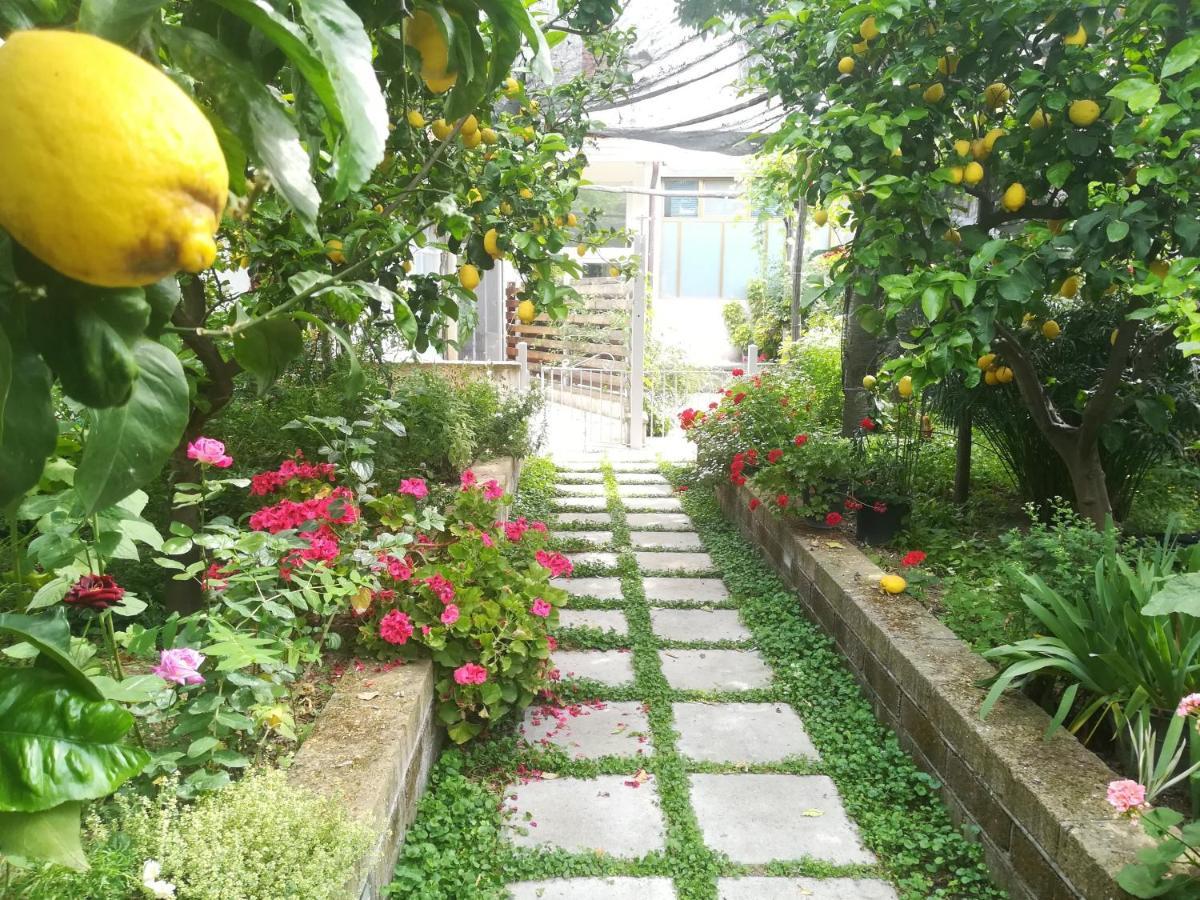 Il Vialetto Dei Limoni Bed & Breakfast Vico Equense Eksteriør bilde